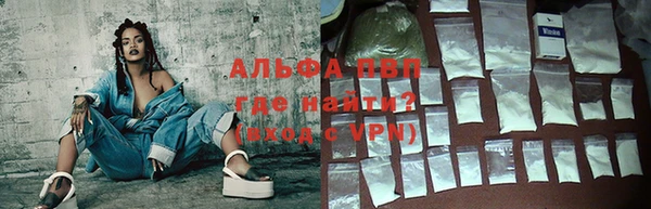 сатива Белокуриха