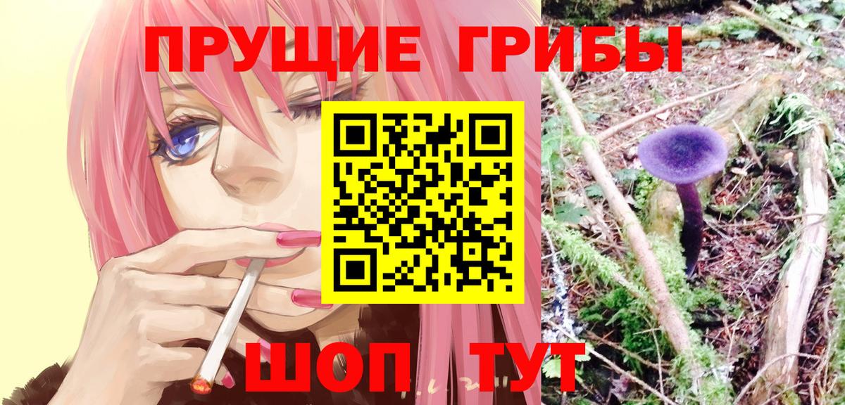 Псилоцибиновые грибы Magic Shrooms  Псилоцибиновые грибы Psilocybine cubensis  Великие Луки  Вход с VPN 